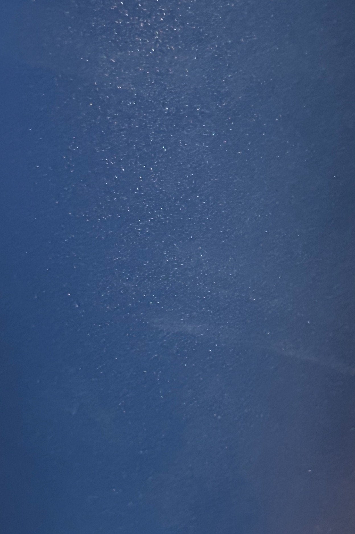 Panther 20oz Vacuum Insulated Tumblers